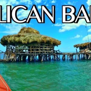 Pelican Bar & Ys Falls Combo Tour Package